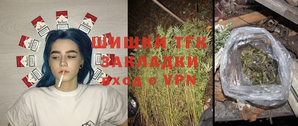 Альфа ПВП Верея