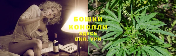 Альфа ПВП Верея